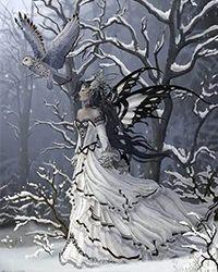 夺宠短剧免费观看